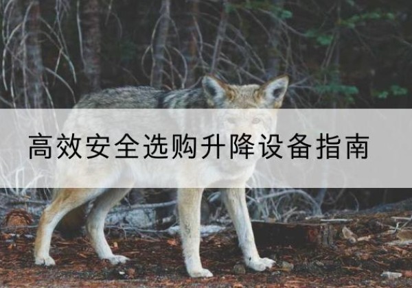 卓尼升降货梯厂家推荐-*安全选购升降设备指南