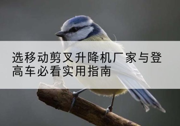 卓尼电动升降机厂家-选移动剪叉升降机厂家与登高车必看实用指南