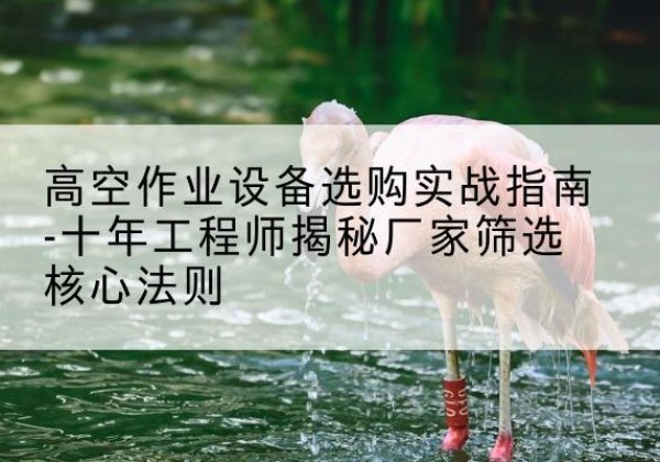 卓尼剪叉式升降机厂家-高空作业设备选购实战指南-十年工程师揭秘厂家筛选核心法则